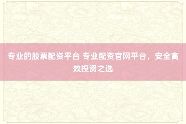 专业的股票配资平台 专业配资官网平台，安全高效投资之选