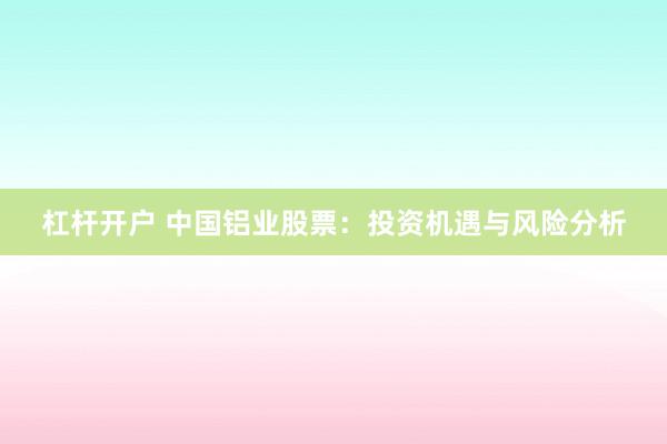 杠杆开户 中国铝业股票：投资机遇与风险分析