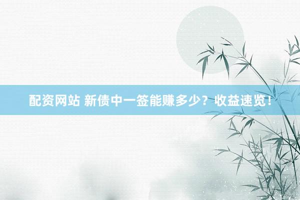 配资网站 新债中一签能赚多少？收益速览！