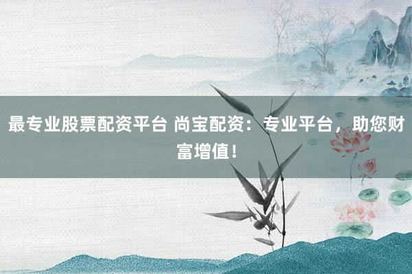 最专业股票配资平台 尚宝配资：专业平台，助您财富增值！