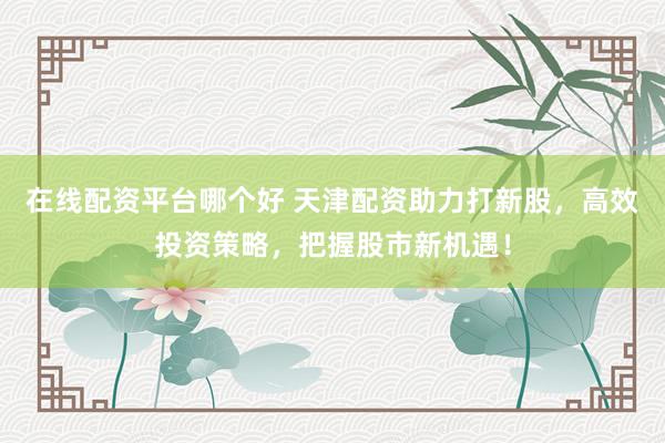 在线配资平台哪个好 天津配资助力打新股，高效投资策略，把握股市新机遇！