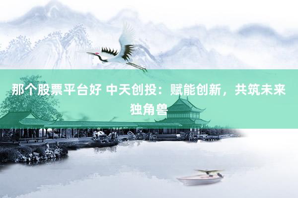 那个股票平台好 中天创投：赋能创新，共筑未来独角兽