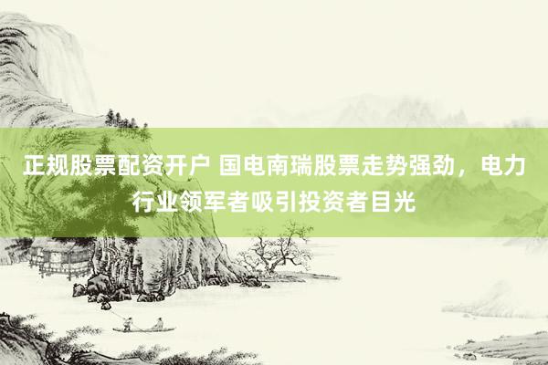 正规股票配资开户 国电南瑞股票走势强劲，电力行业领军者吸引投资者目光