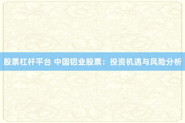 股票杠杆平台 中国铝业股票：投资机遇与风险分析