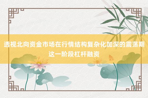 透视北向资金市场在行情结构复杂化加深的震荡期这一阶段杠杆融资