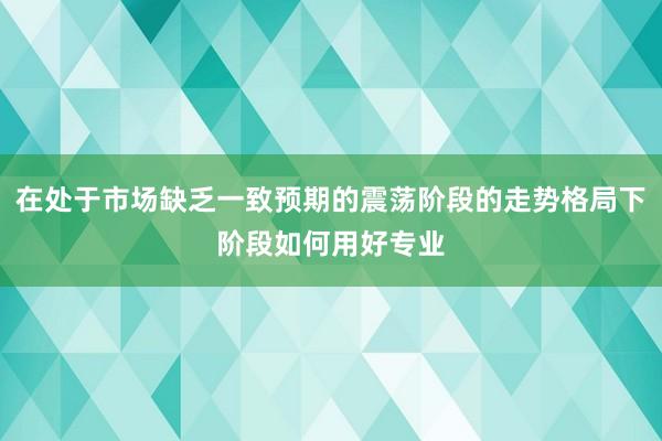在处于市场缺乏一致预期的震荡阶段的走势格局下阶段如何用好专业
