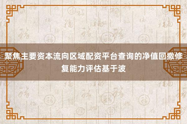 聚焦主要资本流向区域配资平台查询的净值回撤修复能力评估基于波